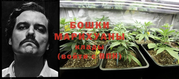 MESCALINE Елизово